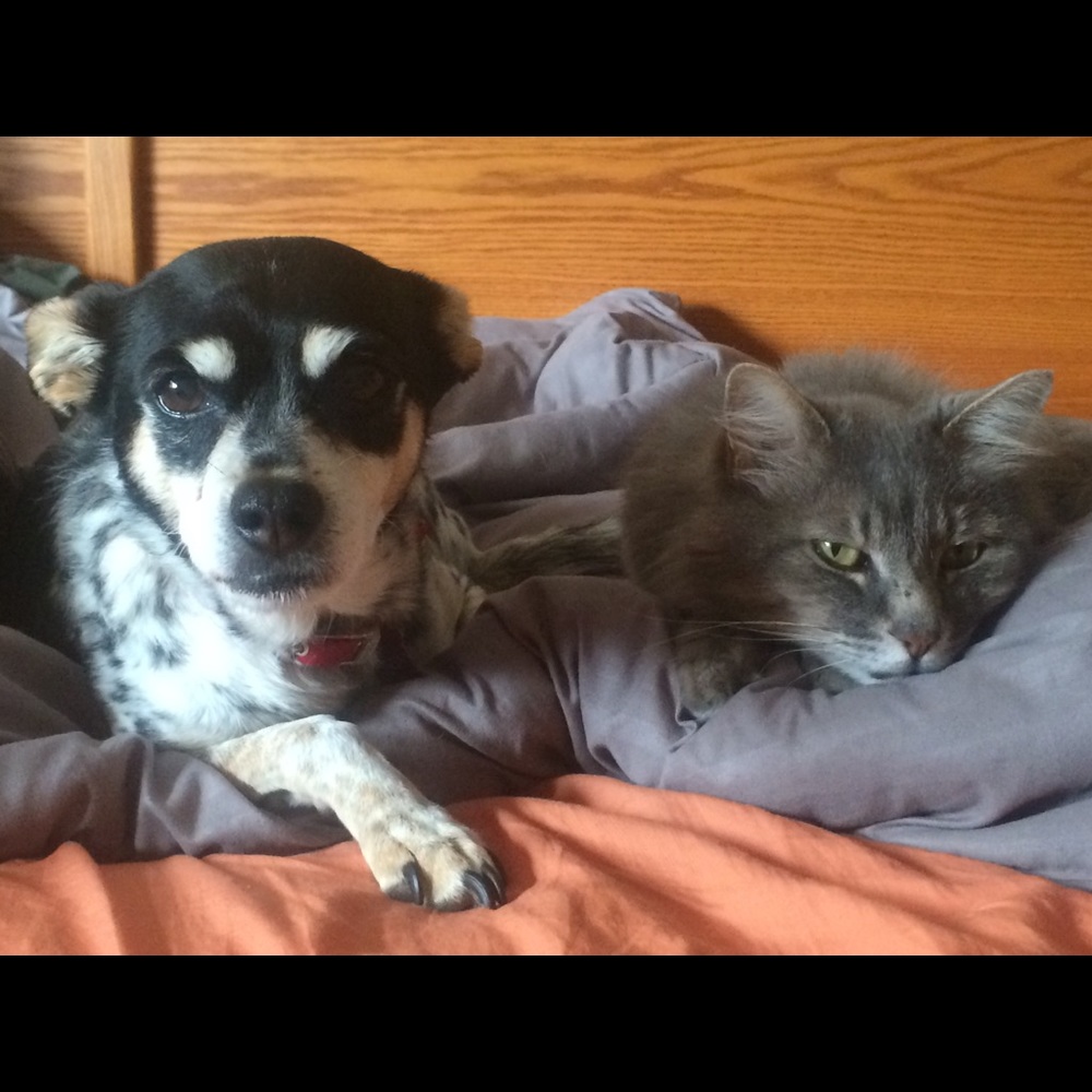 Meet your Posher, Ursula